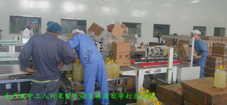 消防粉灌裝生產線，全自動粉末灌裝生產線